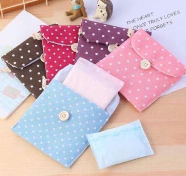 WD0106 Sanitary Napkin Pouch 4 Pcs Set All 1778 1.jpeg