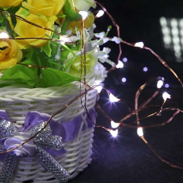 HL2441 Led String Fairy Light Multi Colour All 2264 1 5.jpeg