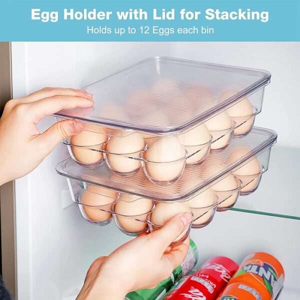 WD0844 12 Grid Transparent Egg Storage Box With Lid All 3364 1 4.jpeg