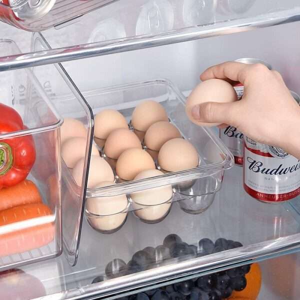 WD0844 12 Grid Transparent Egg Storage Box With Lid All 3364 1 5.jpeg