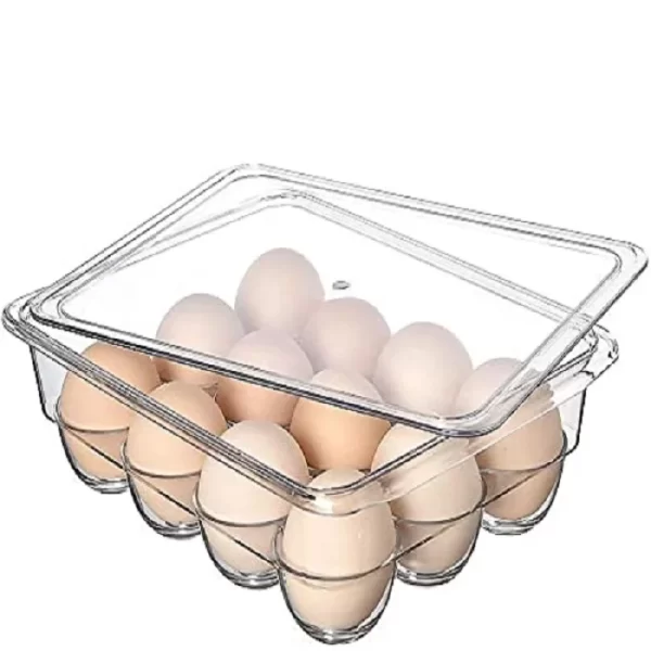 WD0844 12 Grid Transparent Egg Storage Box With Lid All 3364 1.webp