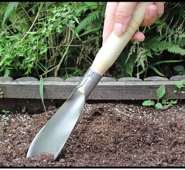 WR0053 1 Gardening Shovel Pointed All 4768 1.jpeg